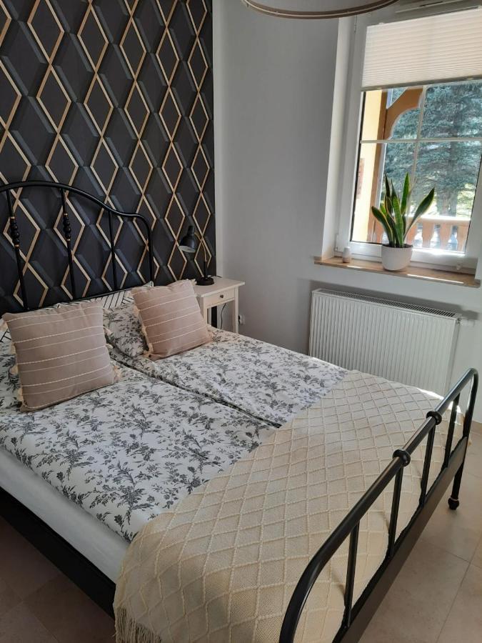 Apartament Felina Świeradów-Zdrój Buitenkant foto